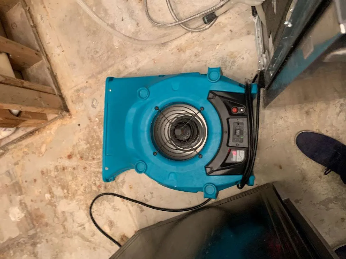 Air mover drying equipment for Mold Remediation & Removal in Key Largo
